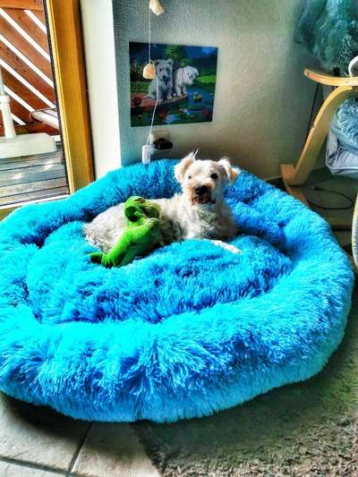 Erfahrung mit Wolkenbett-Beitrag-Bild