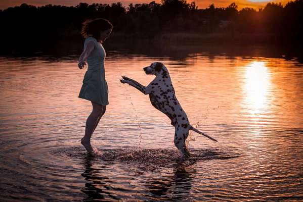 Dogorama-Monats-Challenge-Mai "Wasser"-Beitrag-Bild