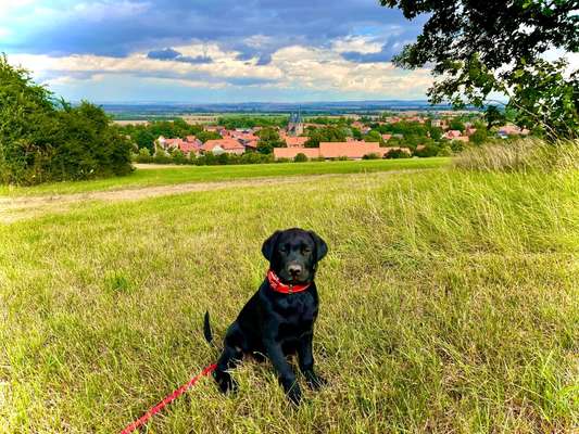 42.Fotochallenge - Eure schönen Momente beim Spaziergang-Beitrag-Bild