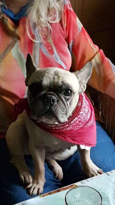 Lieblings Schnappschuss?-Beitrag-Bild