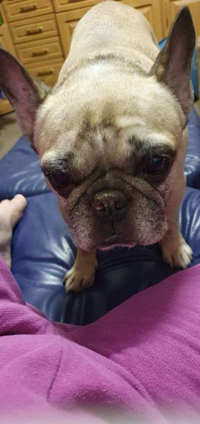 Zauber des Alters-Beitrag-Bild