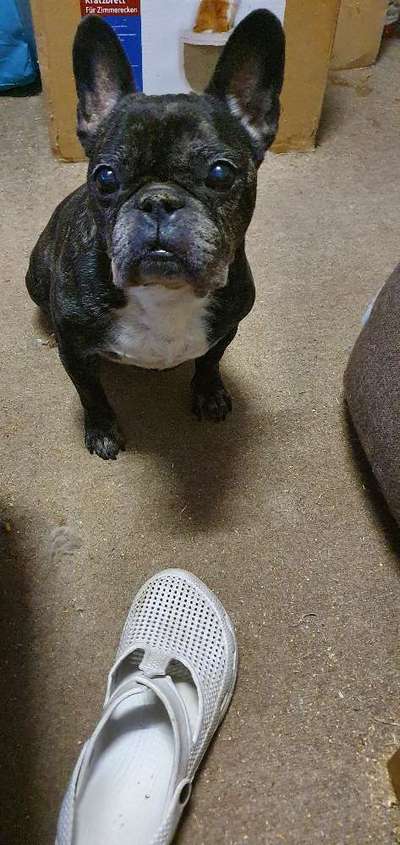 Zauber des Alters-Beitrag-Bild