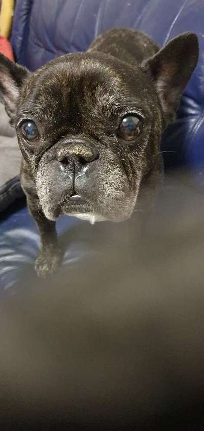 Fotochallange Nr. 6 Die irrsten Blicke-Beitrag-Bild