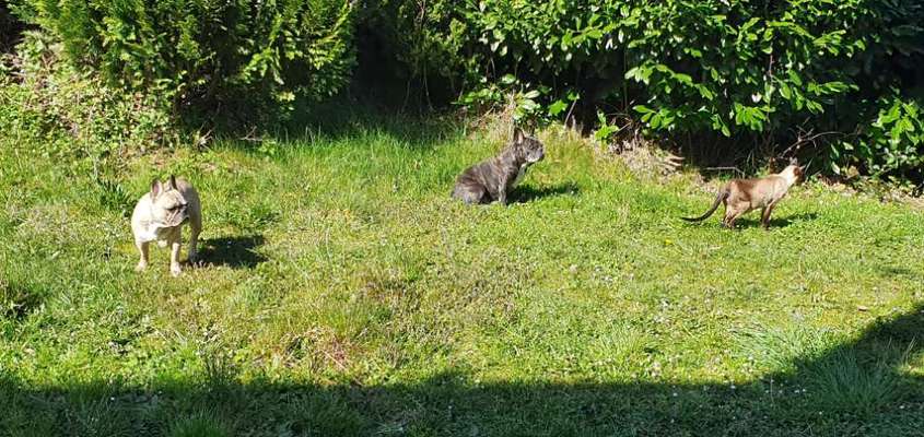 CHALLENGE Nr.17-Beitrag-Bild