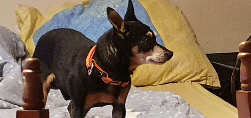 Fotochallange Nr. 6 Die irrsten Blicke-Beitrag-Bild