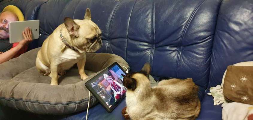 CHALLENGE Nr.17-Beitrag-Bild