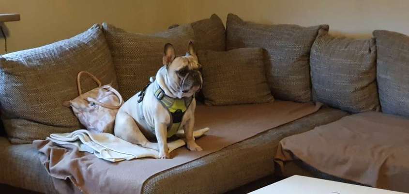 Fotochallange Nr. 6 Die irrsten Blicke-Beitrag-Bild