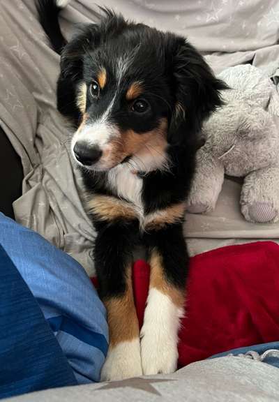 Herbst Bilder-Beitrag-Bild