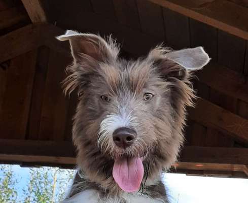 Fotochallange Nr. 57     PORTRÄT.   Beendet!!!!!!!!-Beitrag-Bild