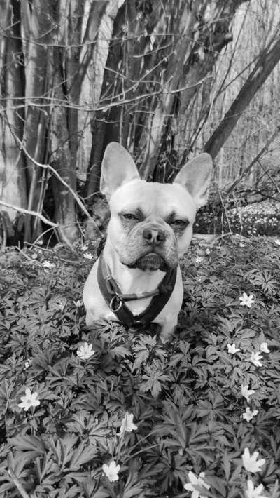 Foto-Challenge 76: Foto in Schwarz-Weiss-Beitrag-Bild