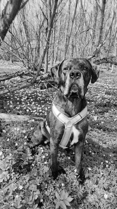 Foto-Challenge 76: Foto in Schwarz-Weiss-Beitrag-Bild