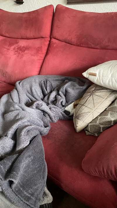 Foto Challenge Nr. 134-Beitrag-Bild