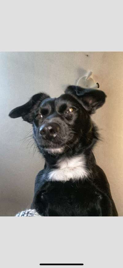 23. Handy Foto-Challenge-Beitrag-Bild