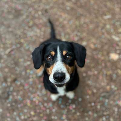 %{de_profession_title}-Blogartikel-Bild