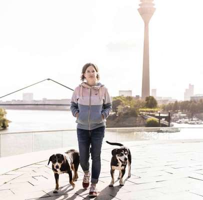 Hundeschulen-Rundum-Glückshund-Bild