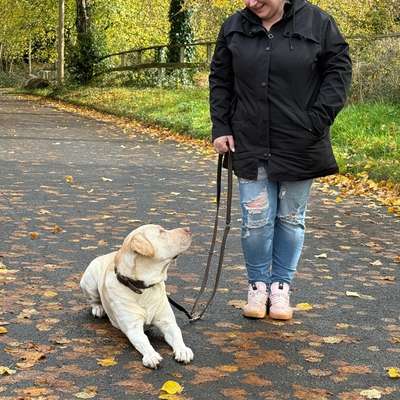 %{de_profession_title}-Einzeltraining in Bergisch Gladbach-Bild