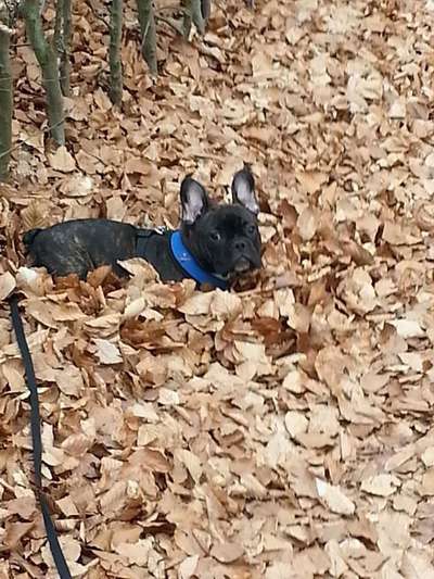 Das erste Foto-Beitrag-Bild