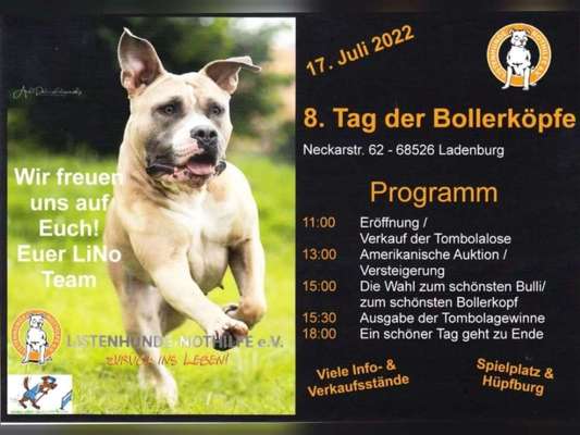 Olde English Bulldogge-Beitrag-Bild