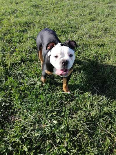 OEB Besitzer gesucht 😊-Beitrag-Bild