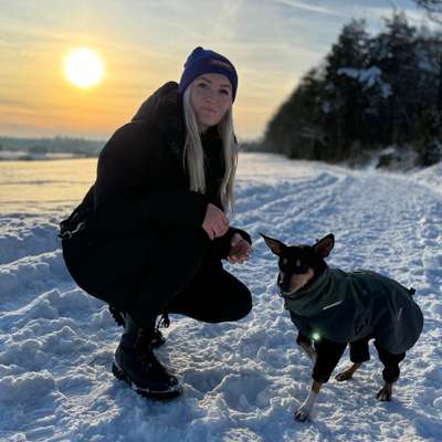 Hundetreffen-Hundetrainerin in Ausbildung sucht Testkund*innen-Bild