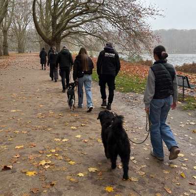 Hundetreffen-Social Walk mit Trainerin 🐕🙋🏼‍♀️-Bild