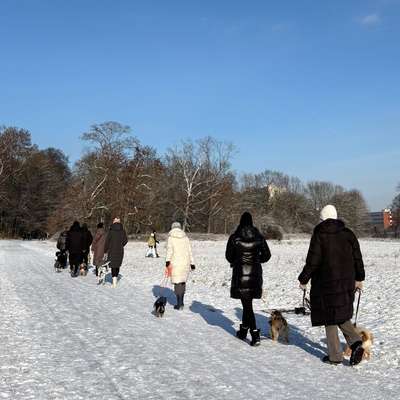 Hundetreffen-Social Walk mit Trainerin 🐕🐩🐕‍🦺🦮-Bild