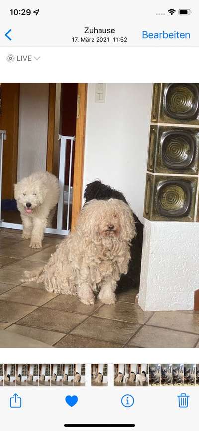 Fotochallenge 69-Beitrag-Bild