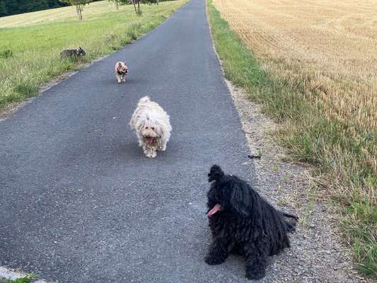 Fotochallenge 69-Beitrag-Bild