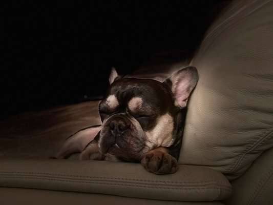 Fotochallenge 69-Beitrag-Bild