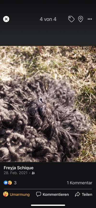 Ratespaß geht weiter-Beitrag-Bild