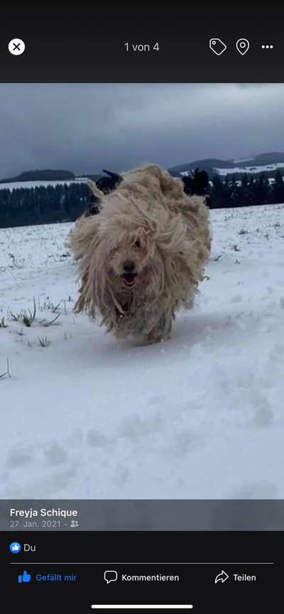 Fotochallenge 69-Beitrag-Bild