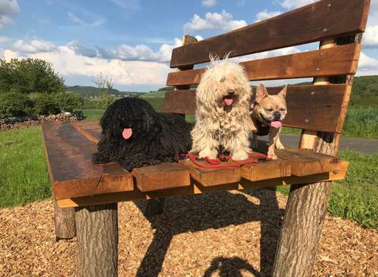 Fotochallenge 69-Beitrag-Bild