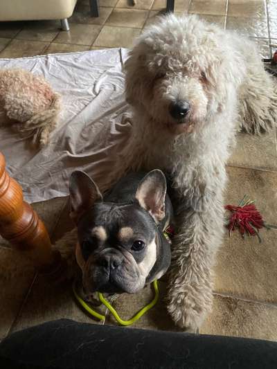 Fotochallenge 69-Beitrag-Bild