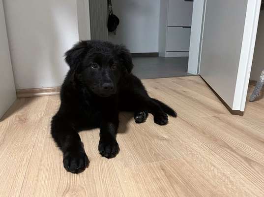 Sie werden so schnell erwachsen ...-Beitrag-Bild