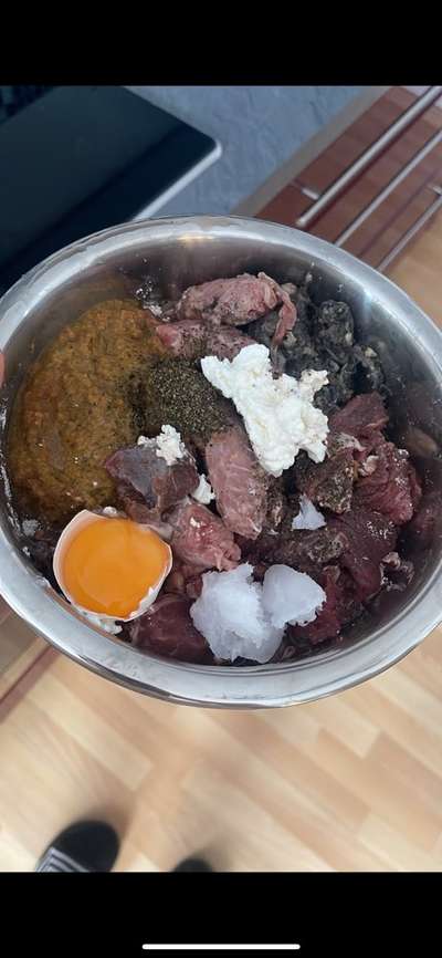 Zeigt her Eure Futternäpfe-Beitrag-Bild