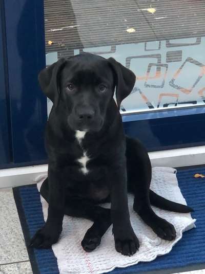 Foto Challenge 3-Beitrag-Bild