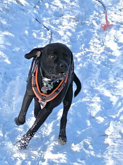 Der erste Schnee, zeigt uns eure tollen Schneemomente-Beitrag-Bild