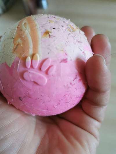 Rhodesian Ridgeback-Beitrag-Bild