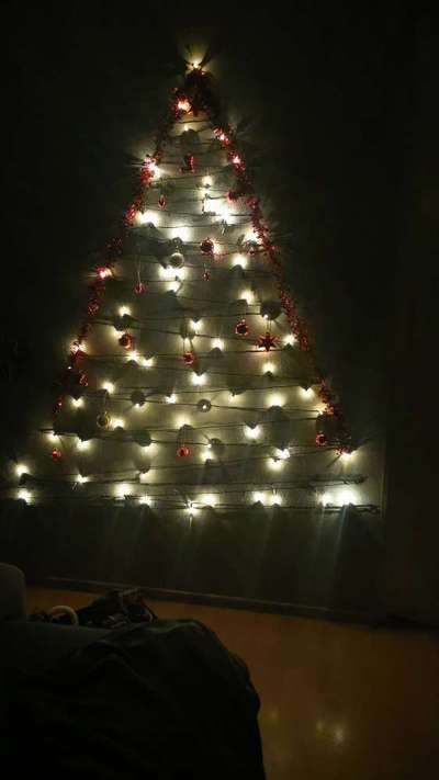 Rhodesian Ridgeback-Beitrag-Bild