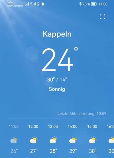 Rhodesian Ridgeback-Beitrag-Bild