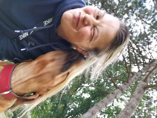 Rhodesian Ridgeback-Beitrag-Bild