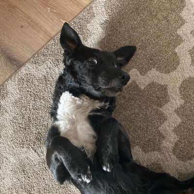 Lieblingsbild-Beitrag-Bild