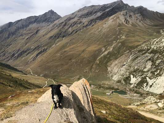 Fotochallenge Nr 107-Beitrag-Bild