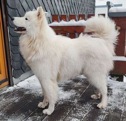 Vor dem Friseur - nach dem Friseur-Beitrag-Bild