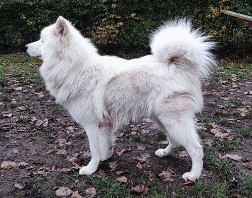 Vor dem Friseur - nach dem Friseur-Beitrag-Bild