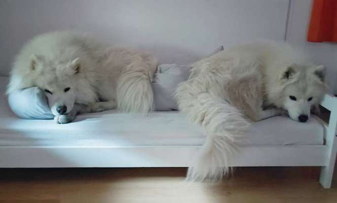 Upcycling - aus Alt mach Neu-Beitrag-Bild