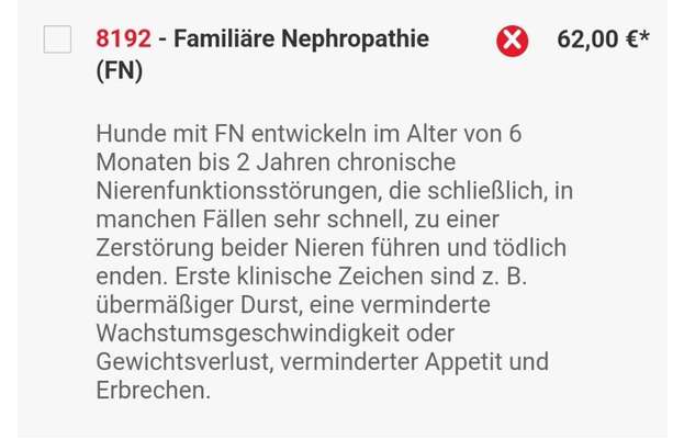 Samojede-Beitrag-Bild