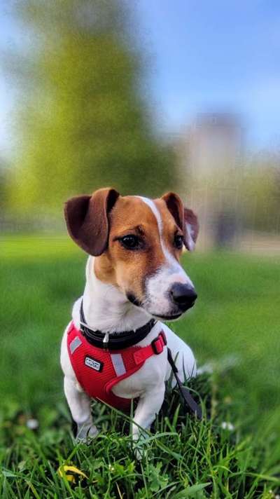 11. Farben Foto Challenge Rot-Beitrag-Bild