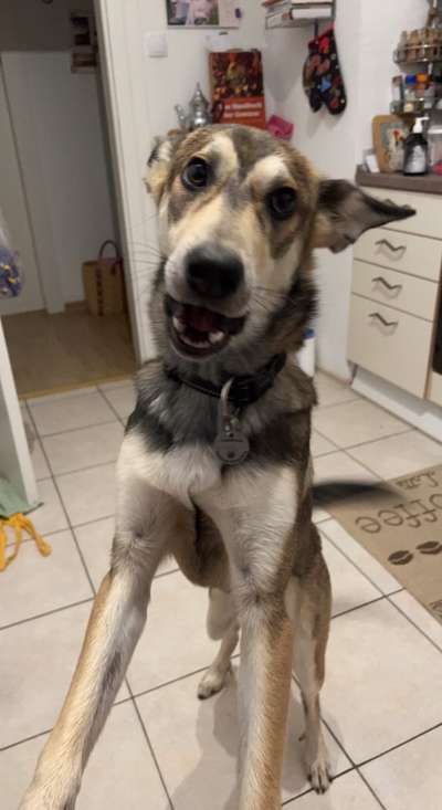 Her mit dem Grimassen-Beitrag-Bild