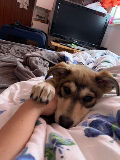 Euer absolutes lieblings Bild !-Beitrag-Bild